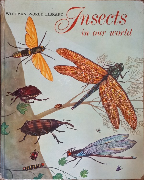 Insects in Our World (Whitman World Library)