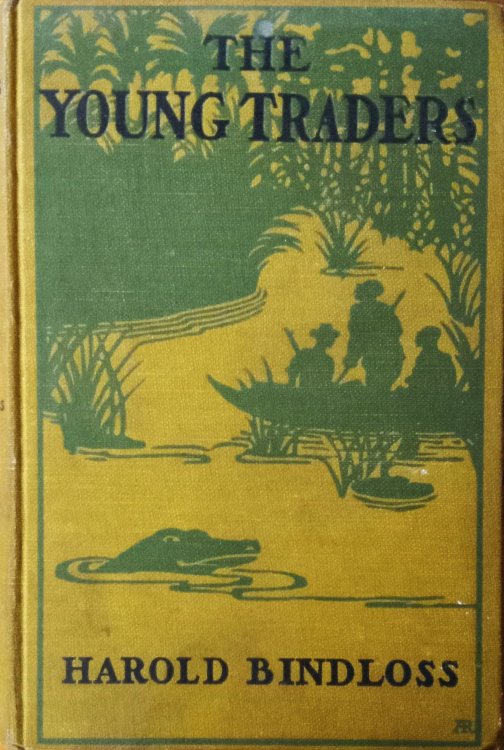 The Young Traders; The Adventure of Two Boys in Western Africa