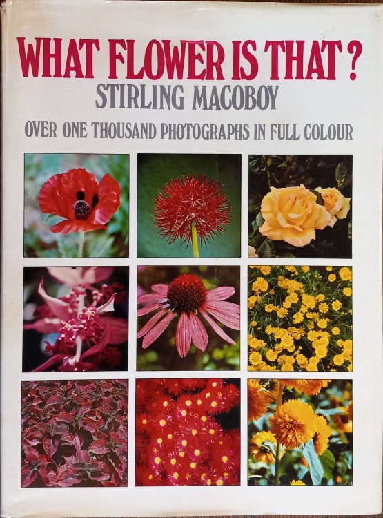 What Flower Is That: Over One Thousand Photographs in Full Colour