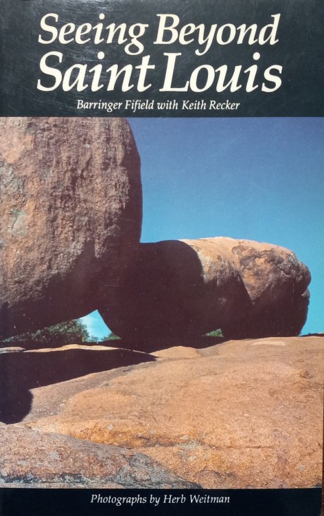 Seeing Beyond Saint Louis