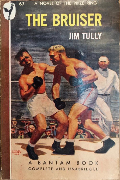 The Bruiser: A Novel of the Prize Ring