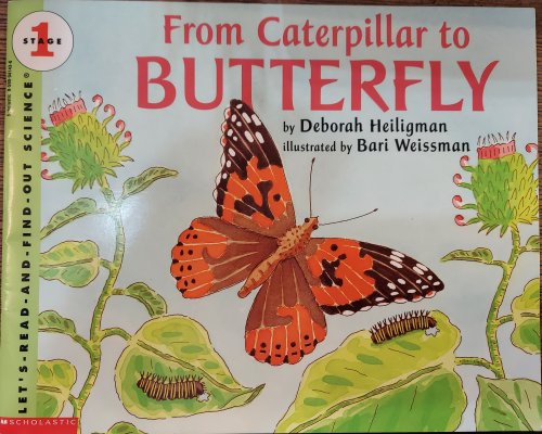 From Caterpillar to Butterfly - Stage 1 Reader