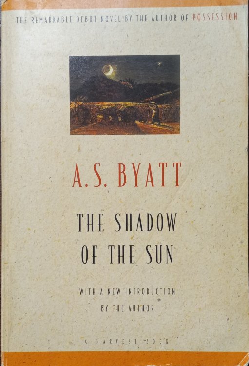 The Shadow of the Sun