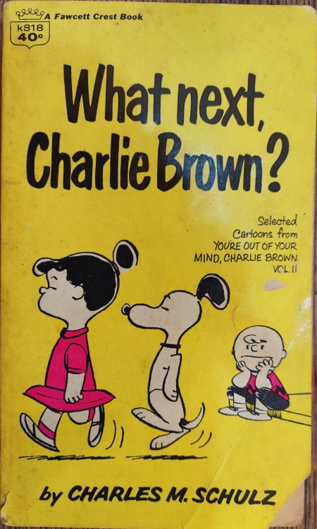 What Next, Charlie Brown