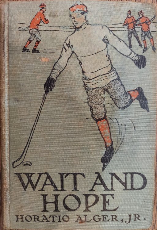 Wait and Hope, or a Plucky Boy's Luck