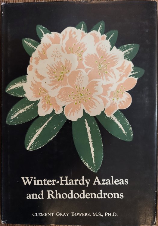 Winter Hardy Azaleas and Rhododendrons