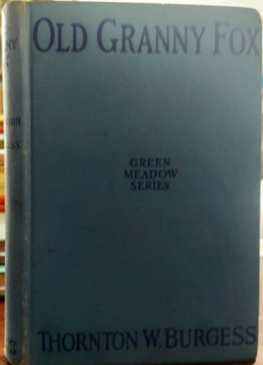 Old Granny Fox (Green Meadow Series)