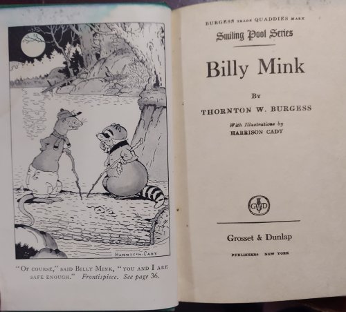 Billy Mink (Smiling Pool series)