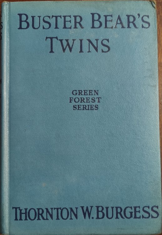 Buster Bear's Twins (Green Forest series)
