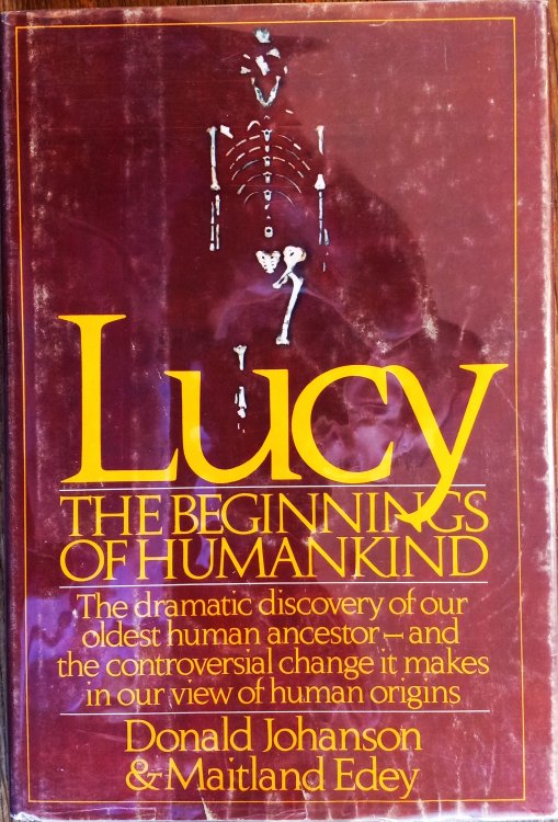 Lucy: The Beginnings of Humankind