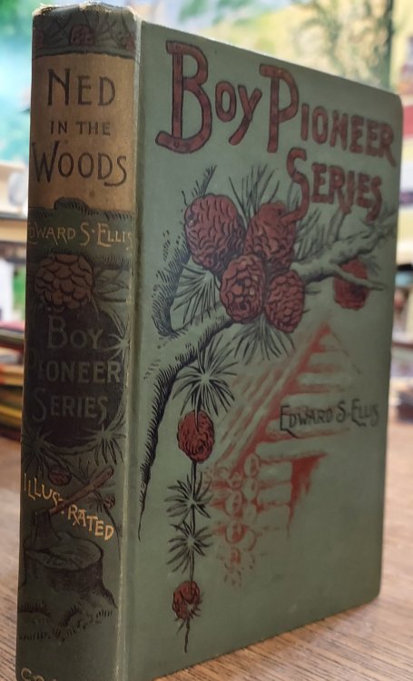 Ned in the Woods (Boy Pioneer series)