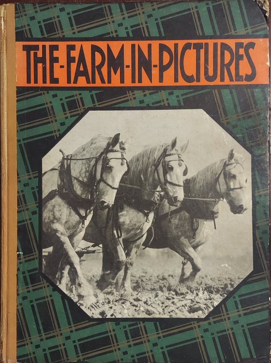 The Farm in Pictures