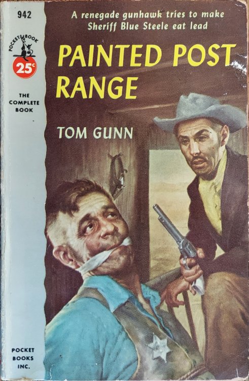 Painted Post Range (Pocket Books #942)