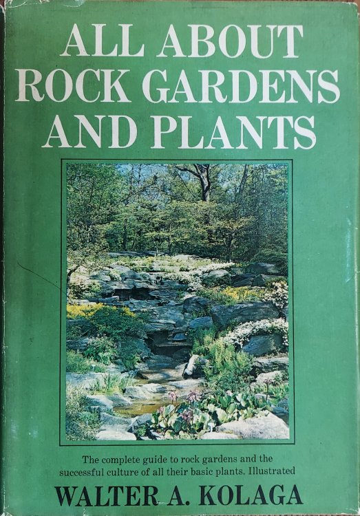 All About Rock Gardens and Plants