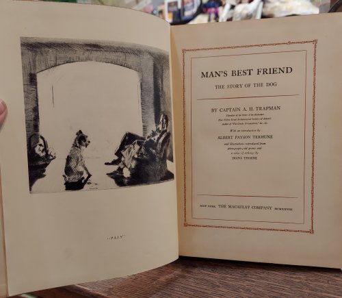 Man's Best Friend: The Story of the Dog