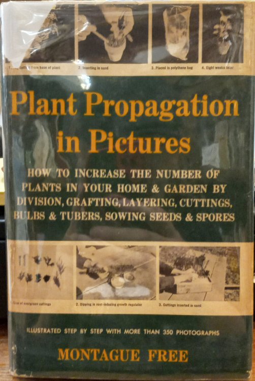 Plant Propagation in Pictures