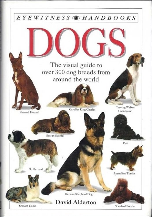 Dogs (Eyewitness Handbooks)