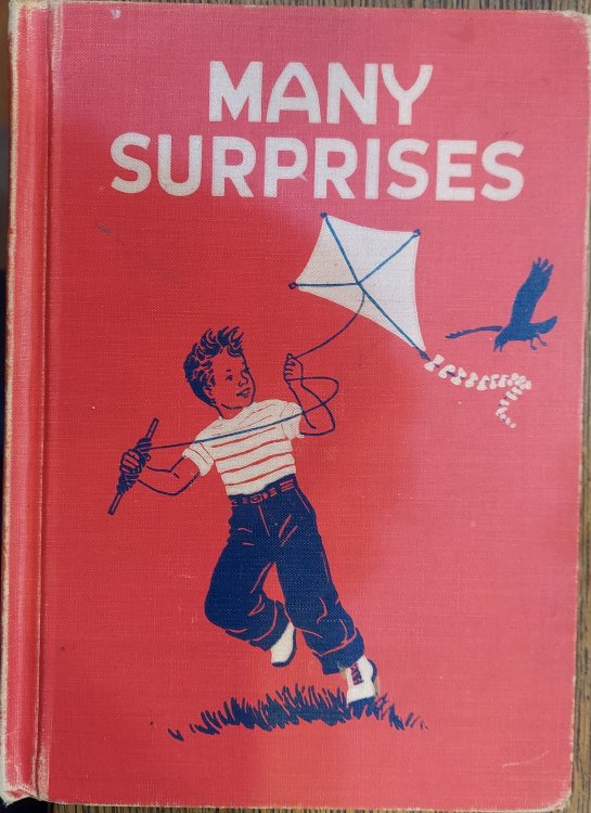 Many Surprises - School Reader