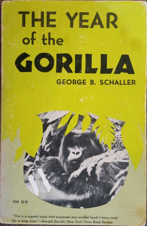 The Year of the Gorilla