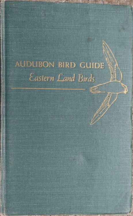 Audubon Bird Guide : Small Land Birds of Eastern and Central North American