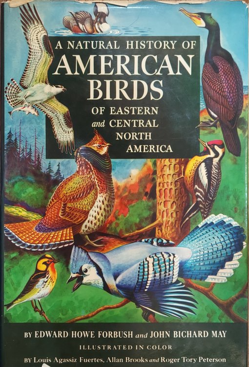 A Natural History of American Birds of Eastern and Central North America