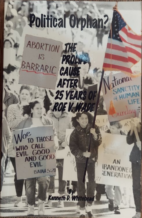 Political Orphan The Prolife Cause After 25 Years of Roe V. Wade
