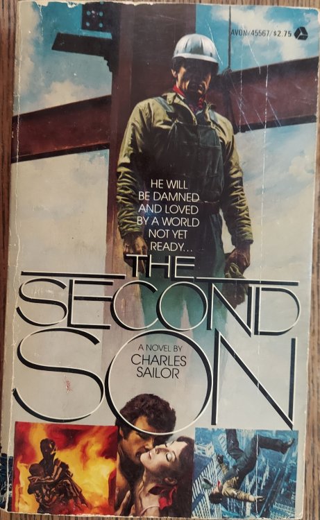 The Second Son