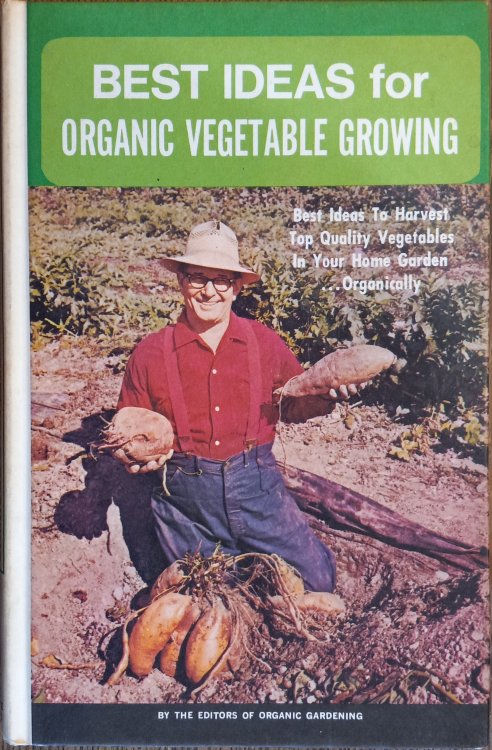 Best Ideas for Organic Vegetable Growing