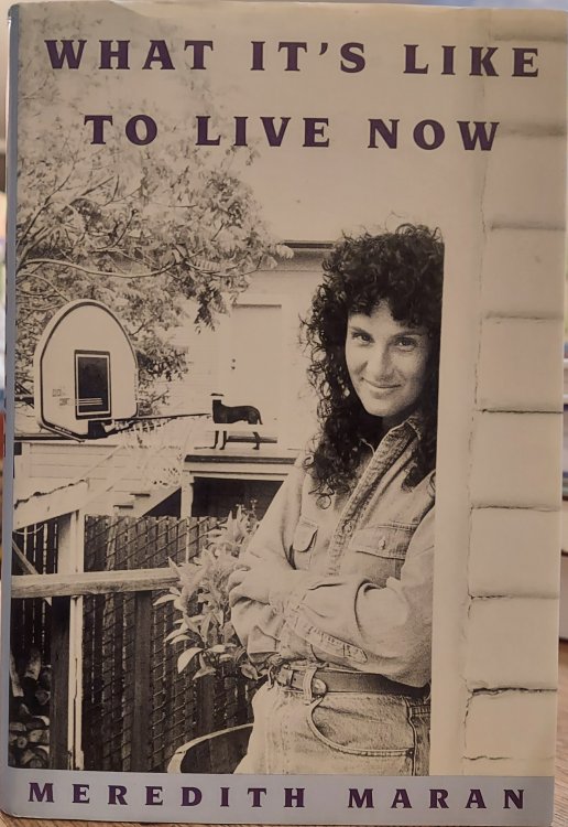 What It's Like to Live Now