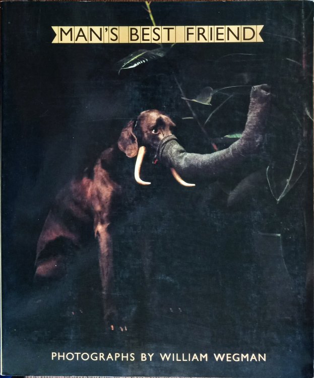 Man's Best Friend