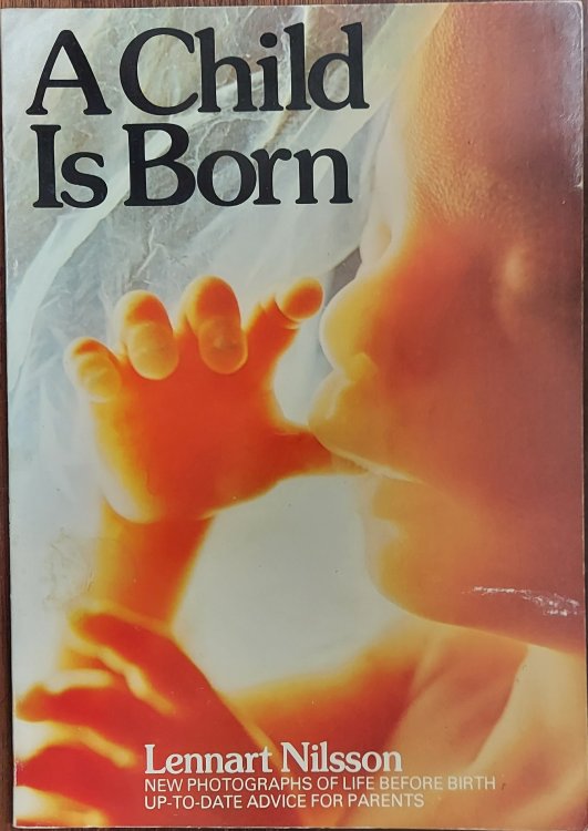 A Child is Born: New Photographs of Life Before Birth