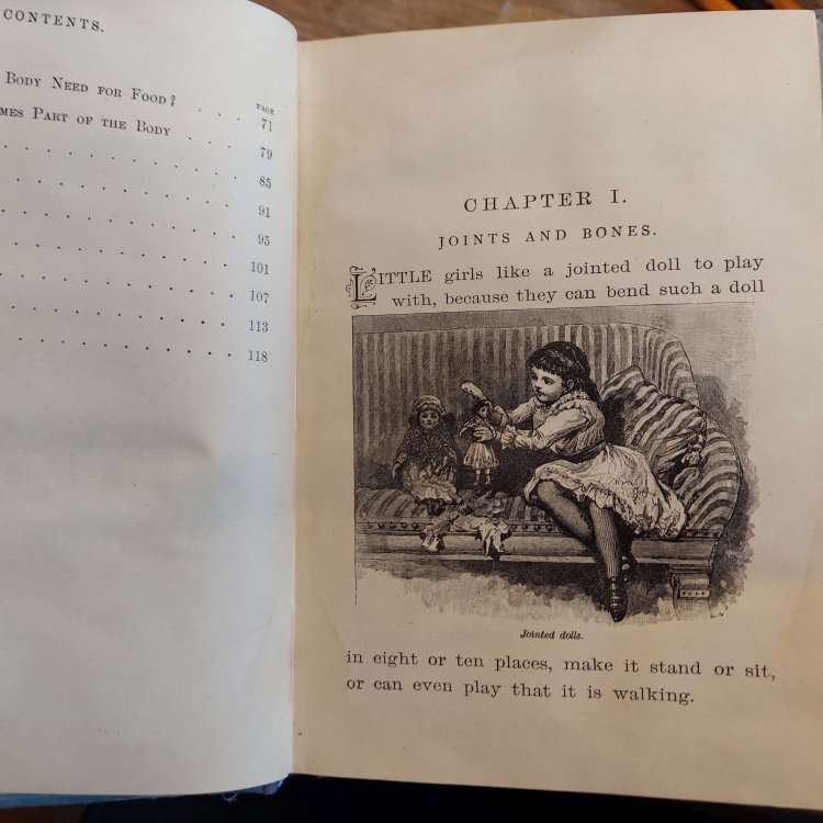 Child's Health Primer for Primary Classes (St. Louis edition)