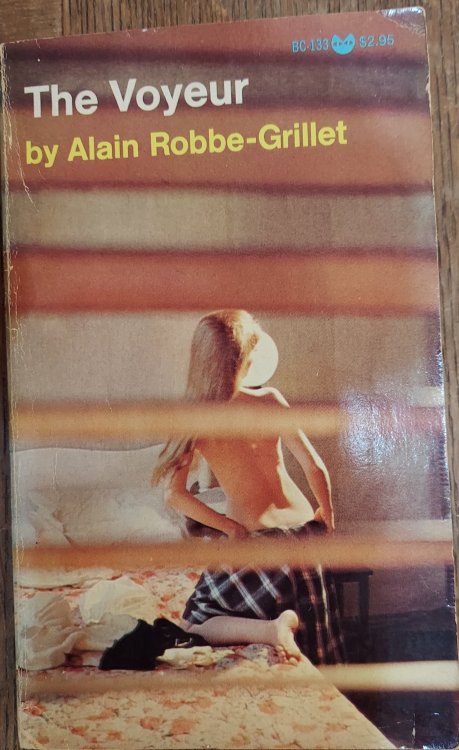 The Voyeur