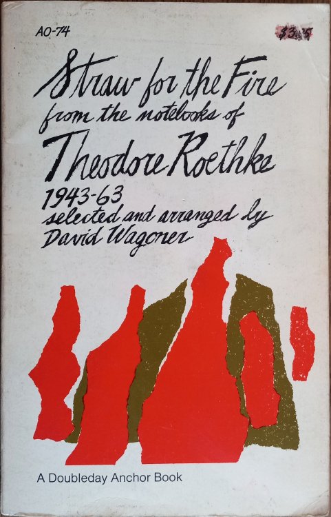 Straw for the Fire from the Notebooks of Theodore Roethke 1943-63