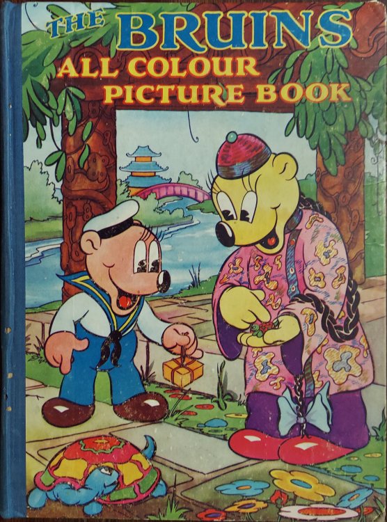 The Bruins All Colour Picture Book