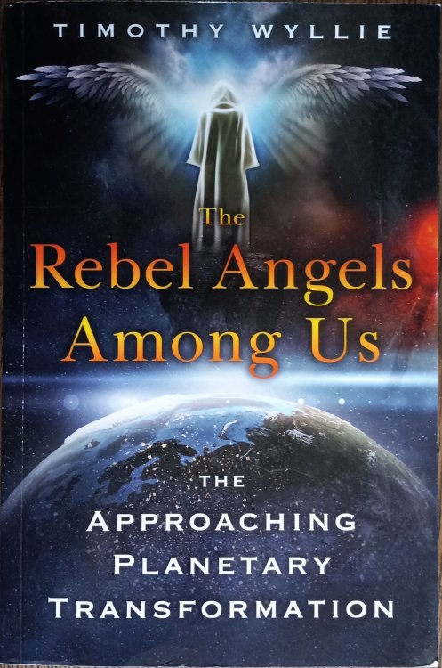 The Rebel Angels Among Us: The Approaching Planetary Transformation