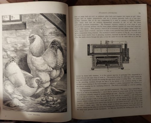The Book of Poultry with Practical Schedules For Judging, Constructed from Actual Analysis of the Best Modern Decisions