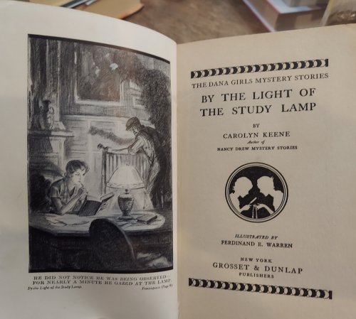By the Light of the Study Lamp (The Dana Girls)