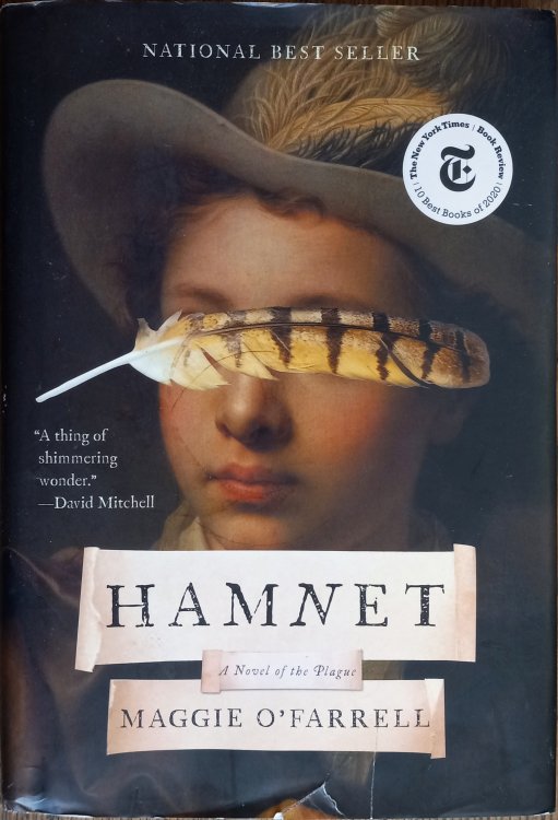 Hamnet: A Novel of the Plague