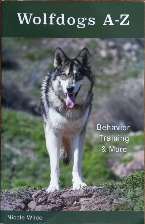 Wolfdogs A-Z: Behavior, Training and More
