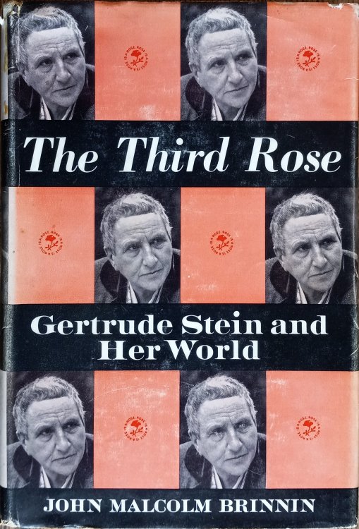 The Third Rose: Gertrude Stein and Her World