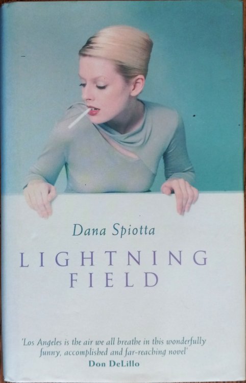Lightning Field