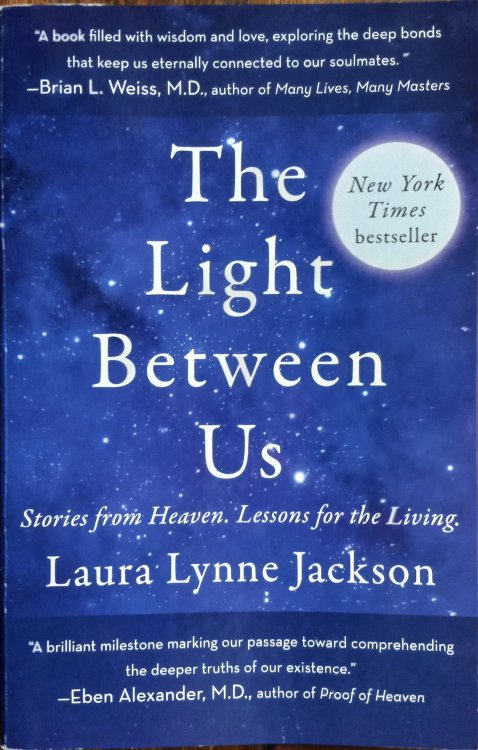 The Light Between Us: Stories from Heaven, Lessons for the Living