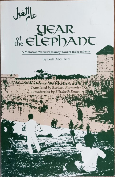 Year of the Elephant: A Moroccan Woman's Journey Toward Independence