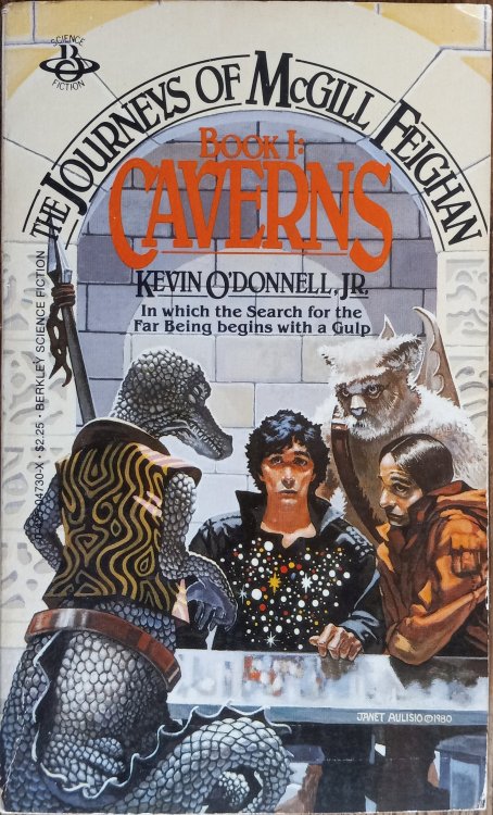 The Journeys of McGill Feighan - Book I: Caverns