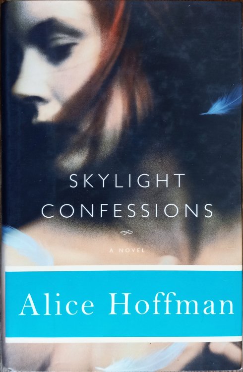 Skylight Confessions
