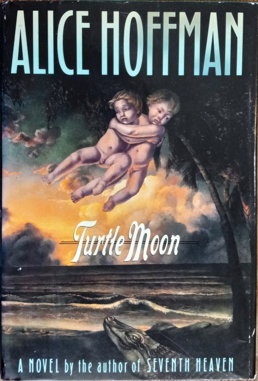 Turtle Moon