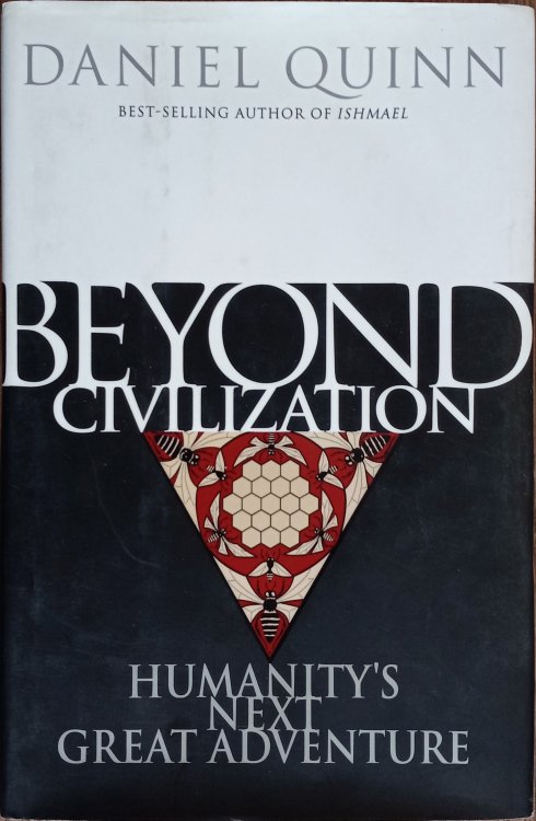 Beyond Civilization: Humanity's Next Great Adventure