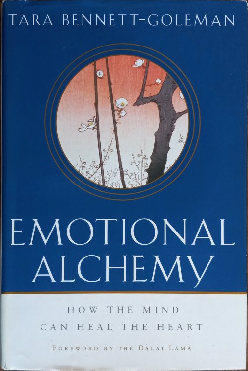 Emotional Alchemy: How the Mind Can Heal the Heart