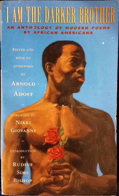 I Am the Darker Brother: An Anthology of Modern Poems By African Americans (Revised Edition)